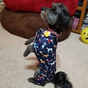 harry barker dog pajamas